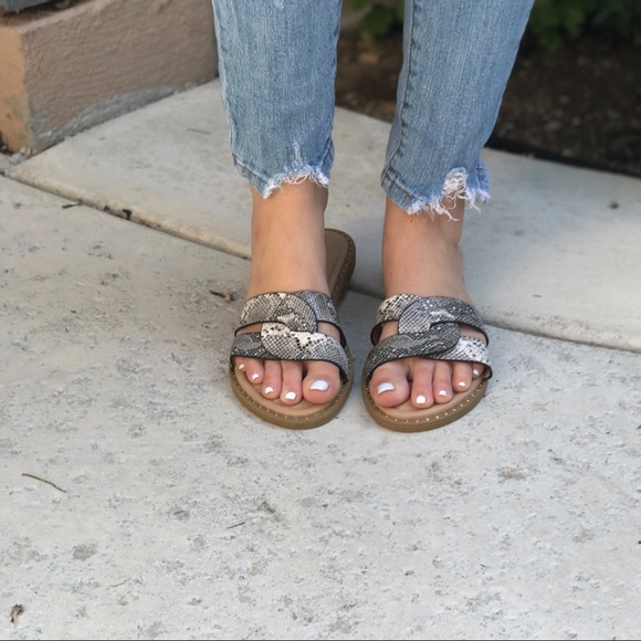 CLEARANCE-FIRM‼️Sugar Snakeskin Slip On’s - Picture 4 of 8